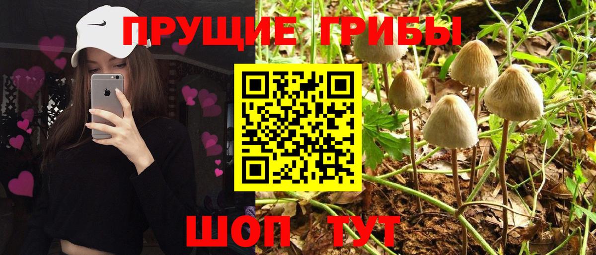 Галлюциногенные грибы MAGIC MUSHROOMS Ярцево