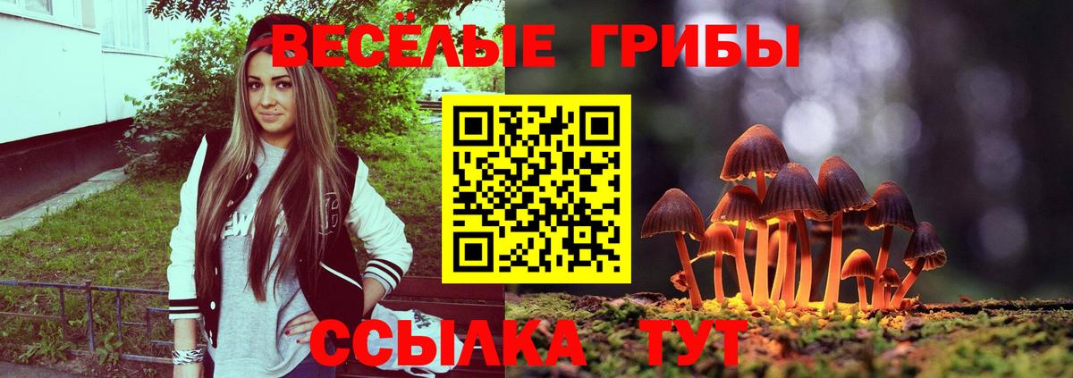 Псилоцибиновые грибы Psilocybine cubensis  Галлюциногенные грибы Psilocybine cubensis  Вход с VPN  Ярцево 